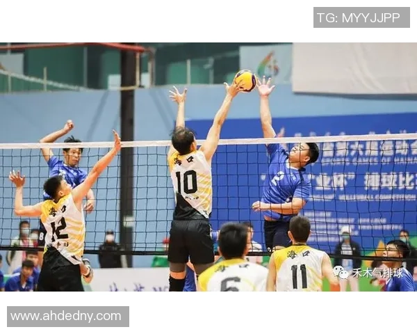 聚焦杭州篮球队技术提升与战术创新的深入探讨与分析